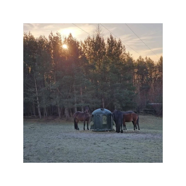 Pojemnik na siano dla koni - idealne wyposażenie padoku .